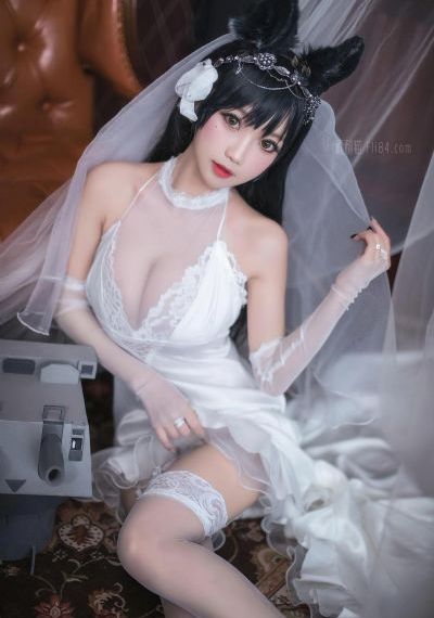 隔墙花