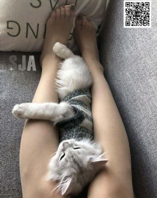 老婆不在家