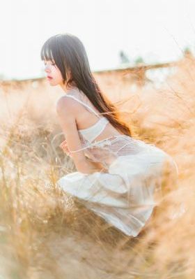这该死的爱