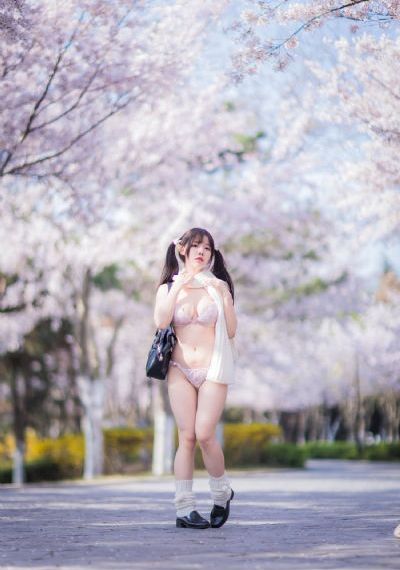 岁岁青莲