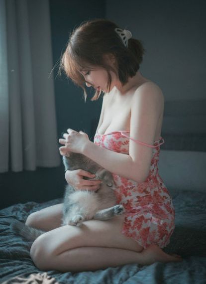 波拉