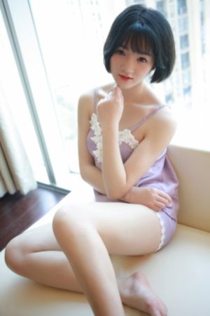 大明按察使