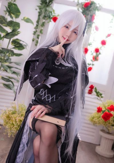 虎尾兰之梦