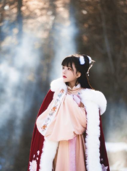 赘婿