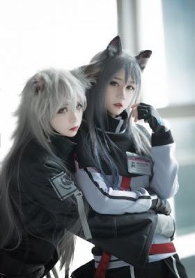 最新协议